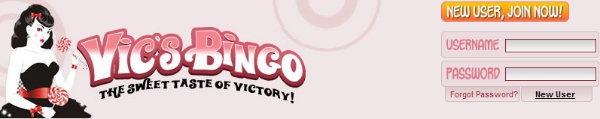 Vics Bingo Header Image